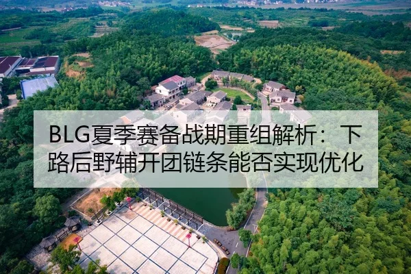 BLG夏季赛备战期重组解析：下路后野辅开团链条能否实现优化 | jiuyouhui