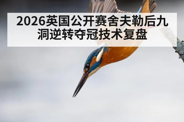 2026英国公开赛舍夫勒后九洞逆转夺冠技术复盘
