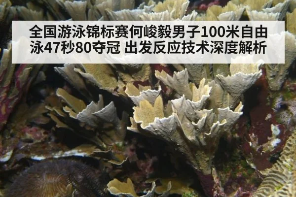 全国游泳锦标赛何峻毅男子100米自由泳47秒80夺冠 出发反应技术深度解析