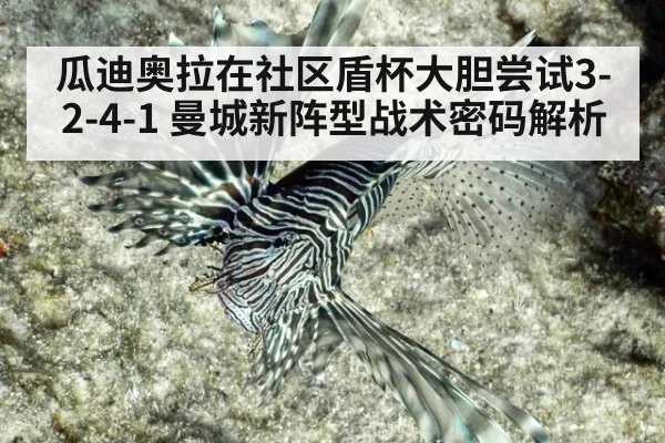 瓜迪奥拉在社区盾杯大胆尝试3-2-4-1 曼城新阵型战术密码解析